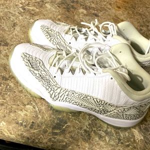 Jordan Retro 11 “cobalt”